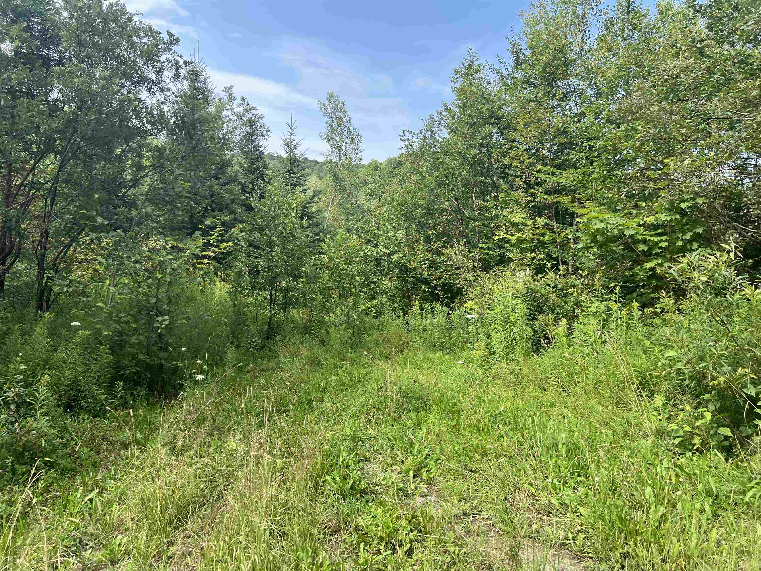 0 Hartwell Pond Road Barton, VT 05875 - Photo 2 of 12