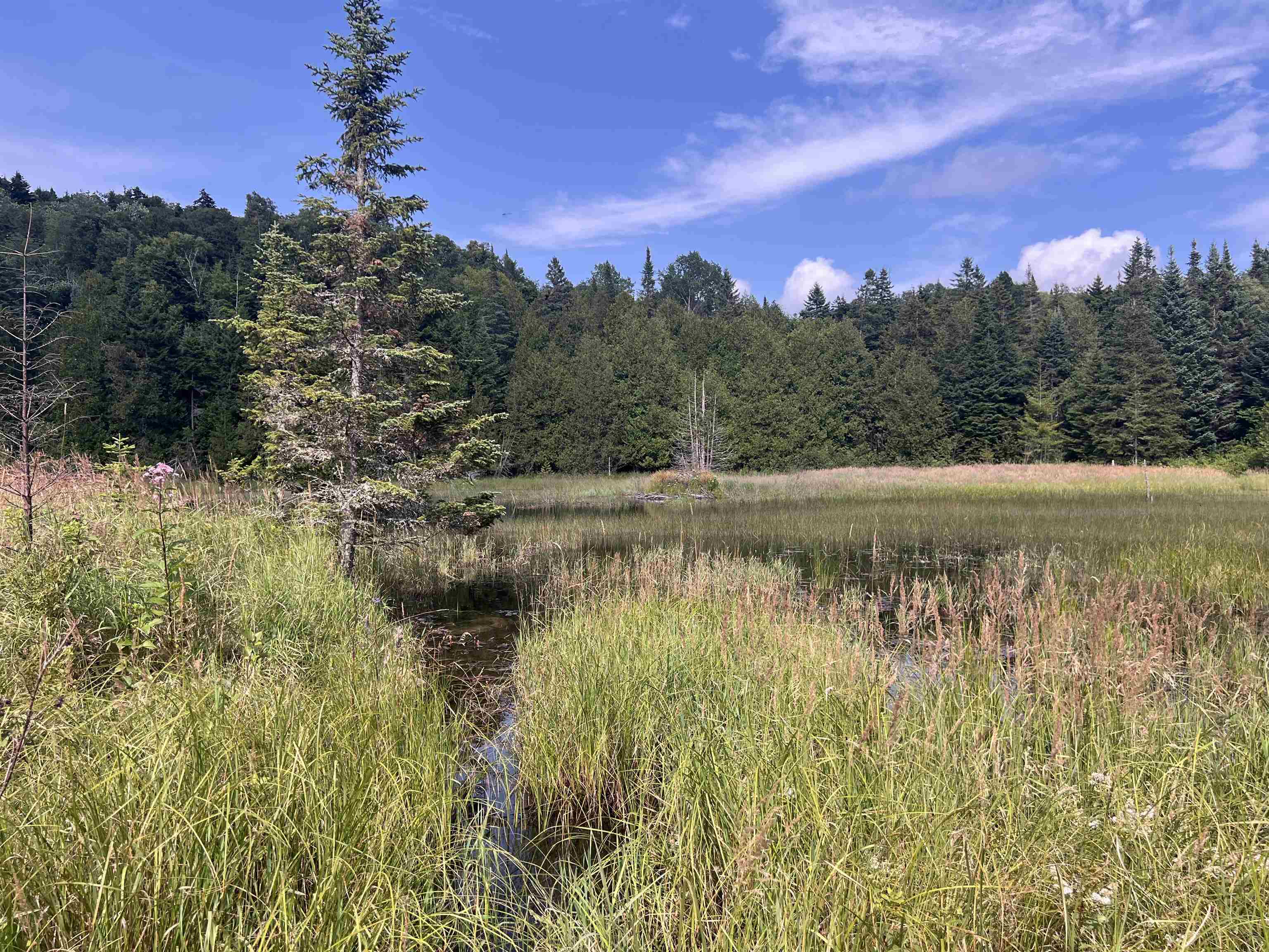 0 Hartwell Pond Road Barton, VT 05875 - Photo 3 of 12