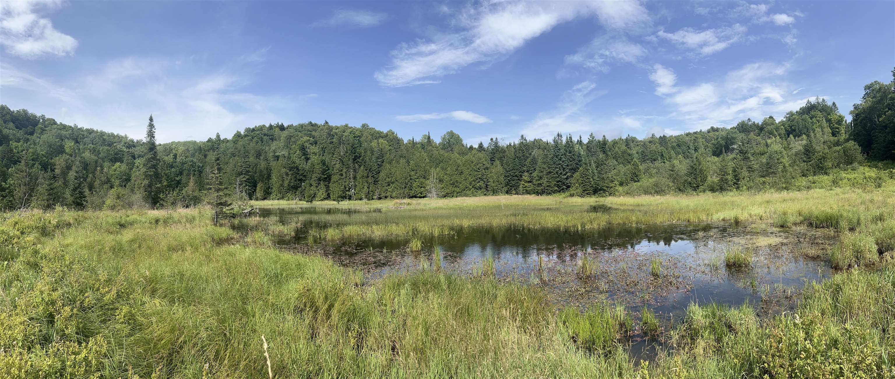 0 Hartwell Pond Road Barton, VT 05875 - Photo 4 of 12