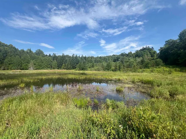 $120,000 | 0 Hartwell Pond Road, Barton, VT 05875