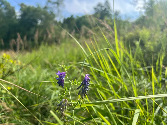 $120,000 | 0 Hartwell Pond Road, Barton, VT 05875