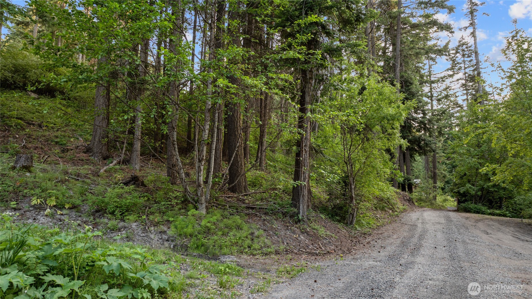 621 Rodeo Road Cle Elum, WA 98922 - Photo 5 of 19