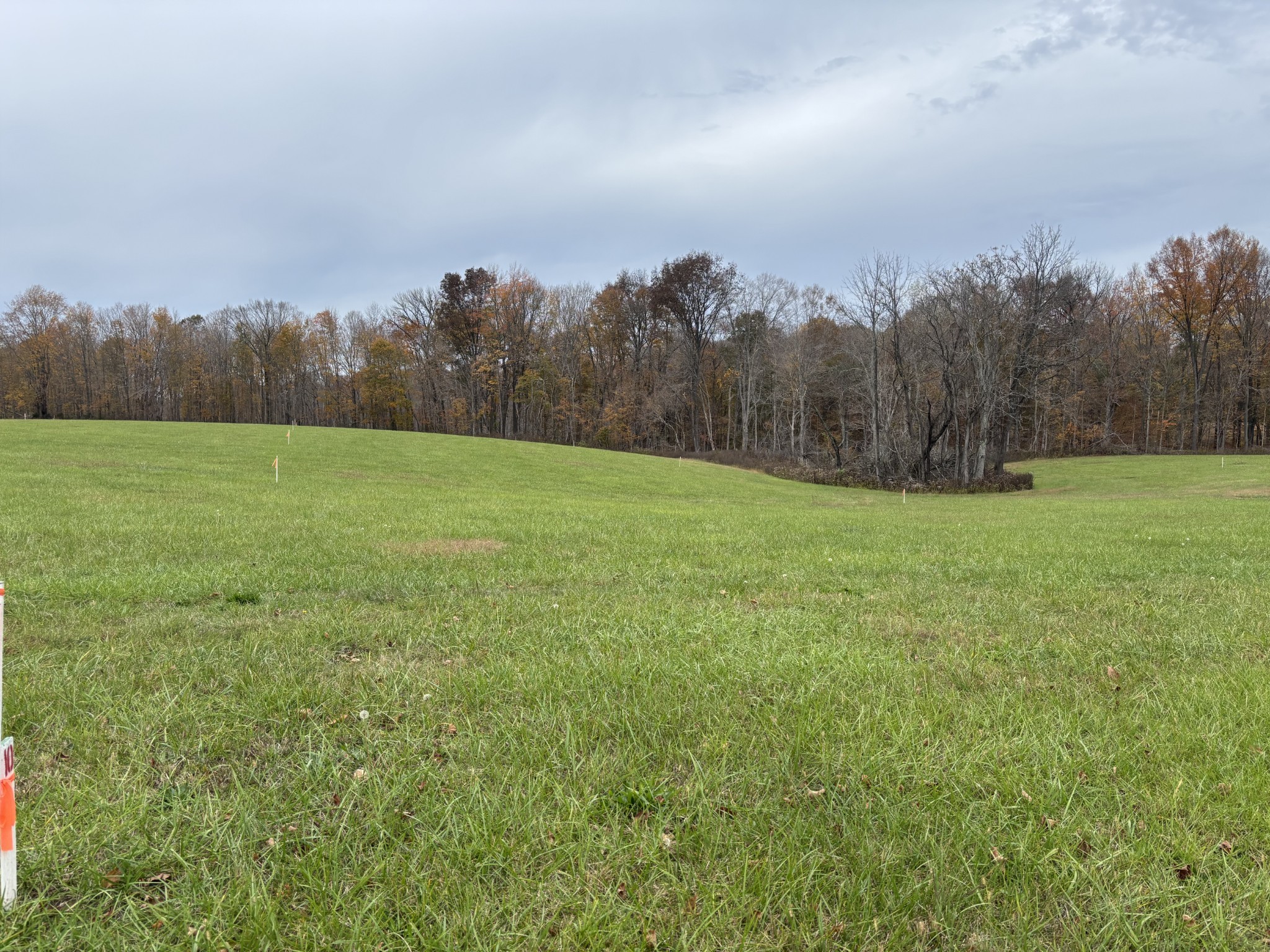 10 Hanestown Road Lafayette, TN 37083 - Photo 3 of 4 Gallery Image 3