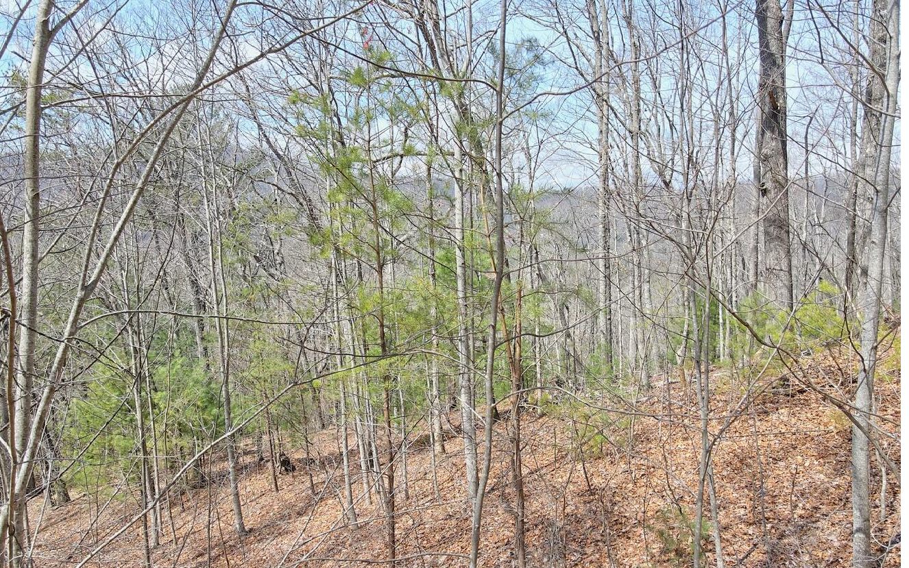22-23 Mill Ridge Road Hiawassee, GA 30546 - Photo 10 of 10 Additional View