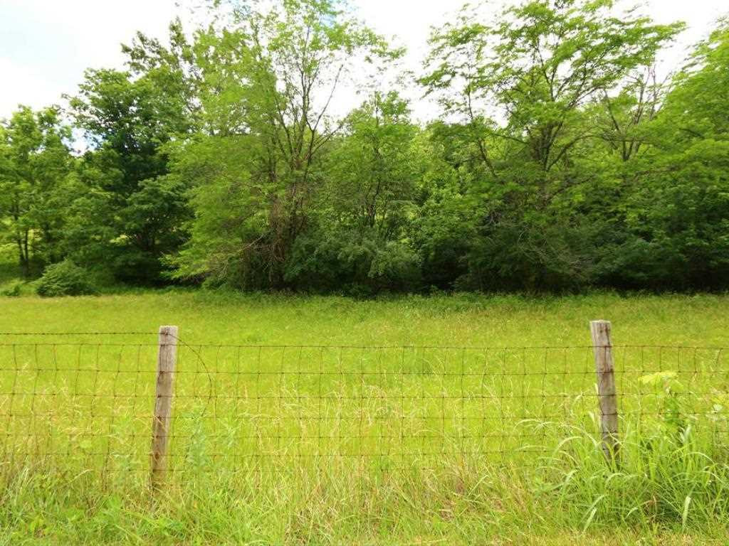 0 Stonehouse Road Melbourne, KY 41059 - Photo 11 of 17