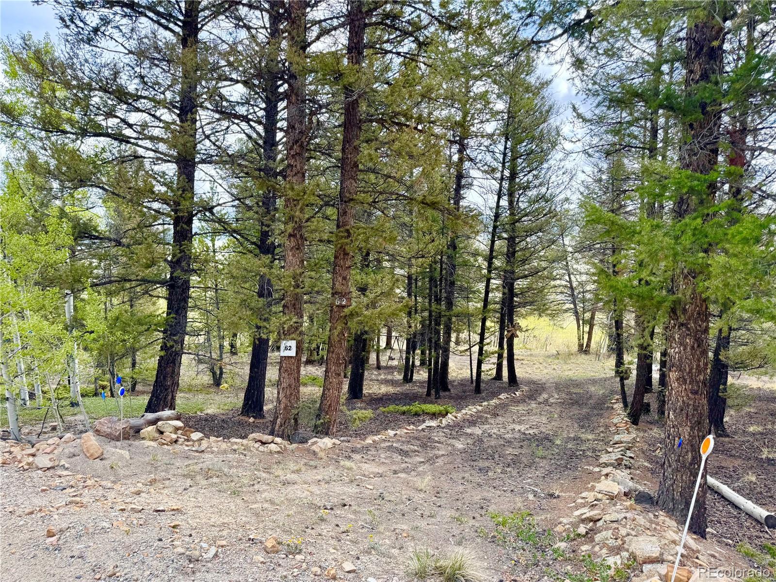 2886 Redhill Road Fairplay, CO 80440 - Photo 1 of 46 Gallery Image 1
