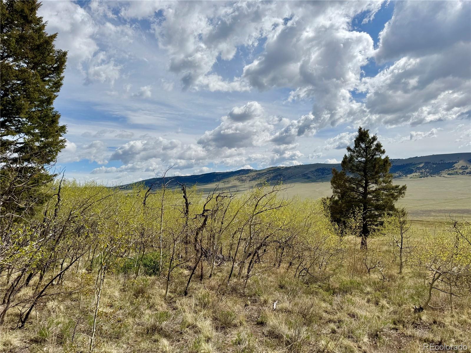 2886 Redhill Road Fairplay, CO 80440 - Photo 28 of 46 Gallery Image 28