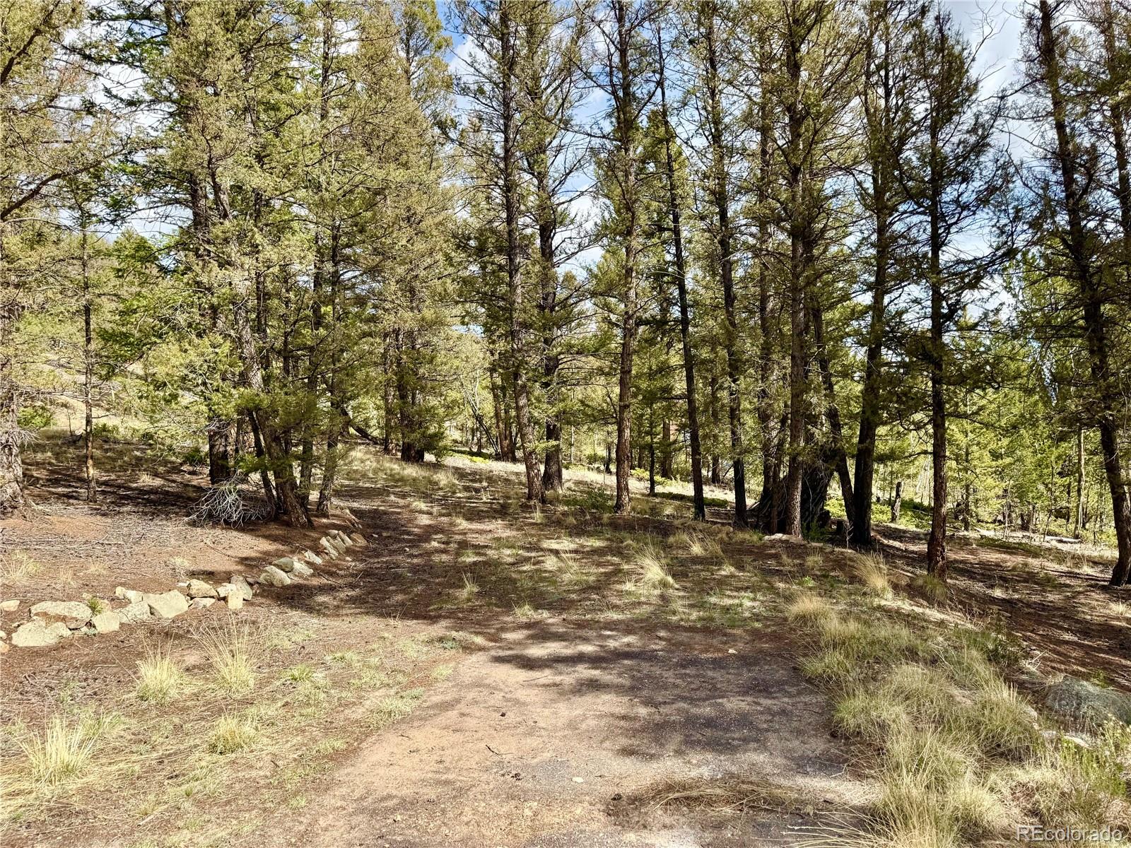 2886 Redhill Road Fairplay, CO 80440 - Photo 29 of 46 Gallery Image 29