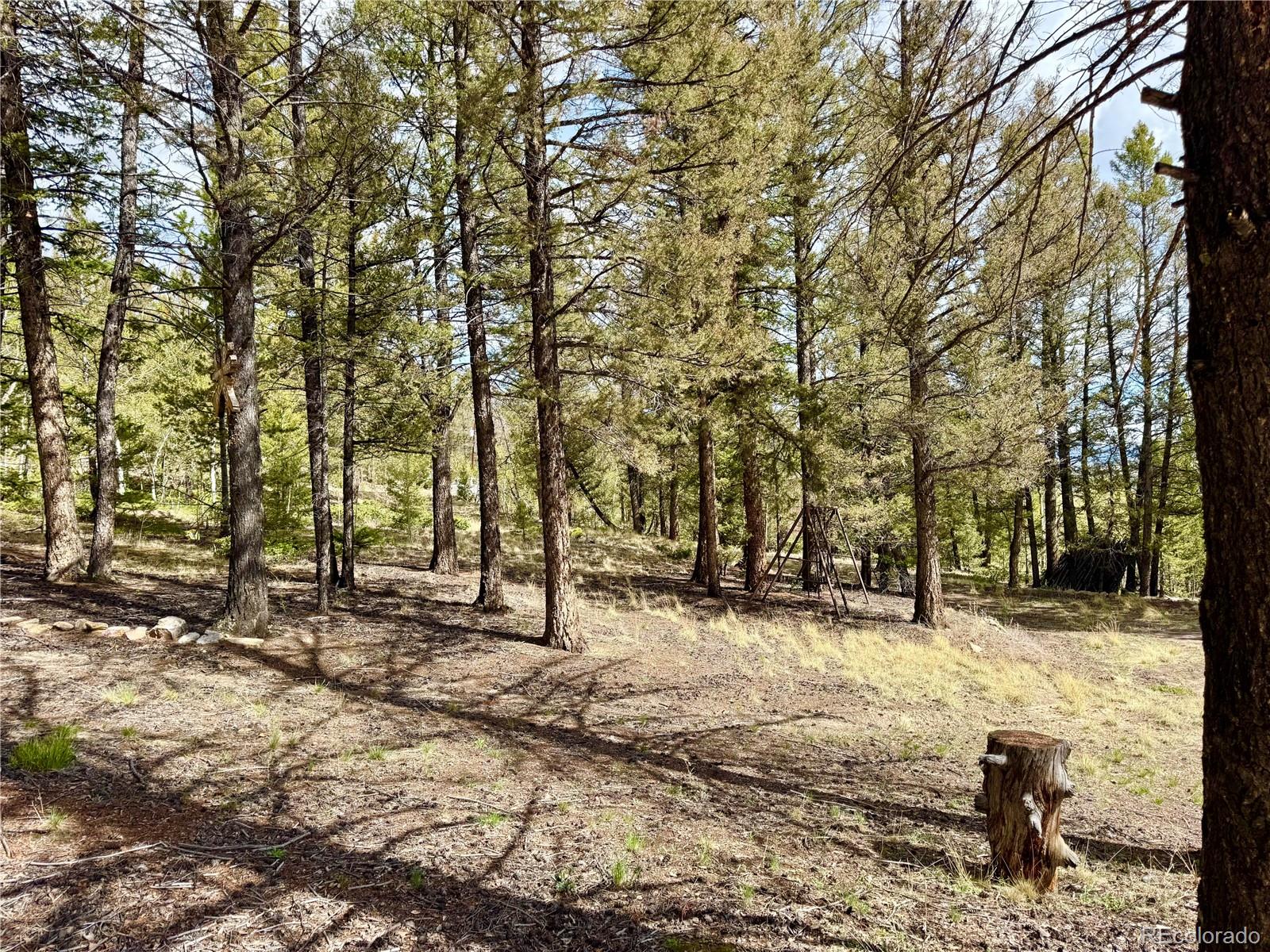 2886 Redhill Road Fairplay, CO 80440 - Photo 31 of 46 Gallery Image 31
