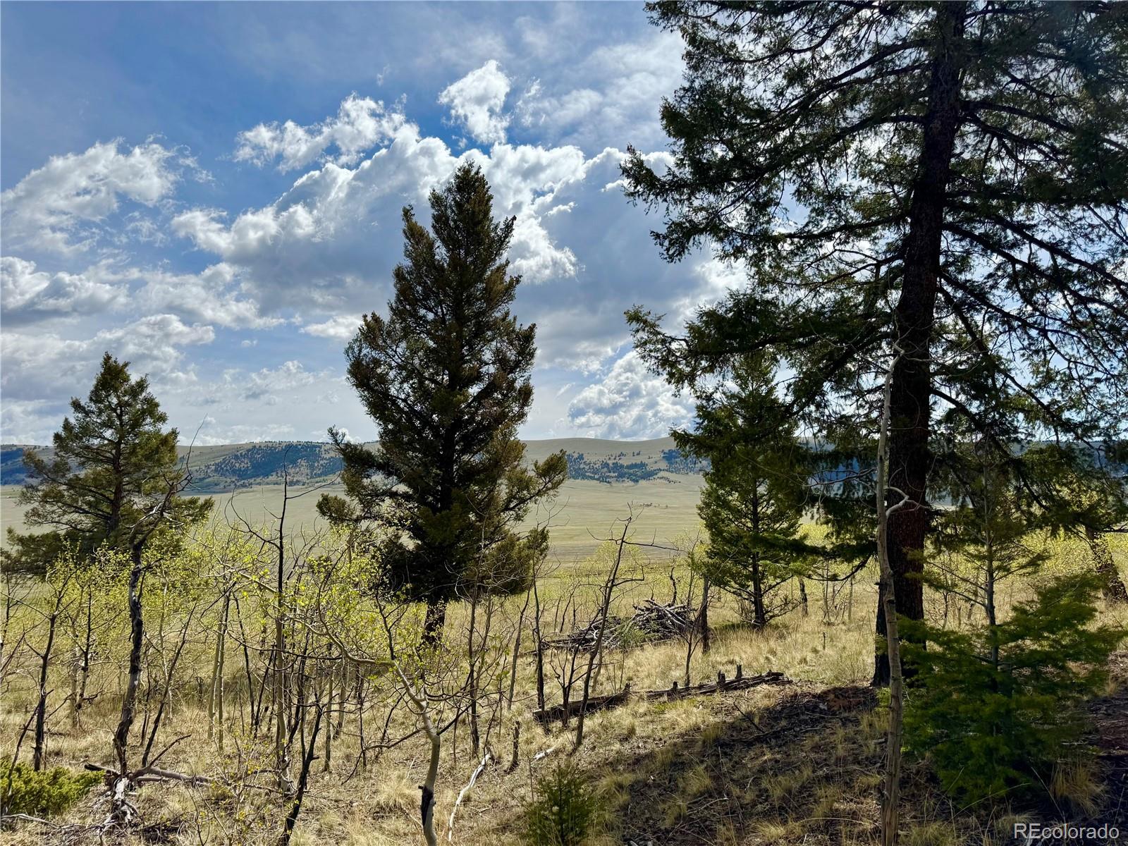 2886 Redhill Road Fairplay, CO 80440 - Photo 42 of 46 Gallery Image 42