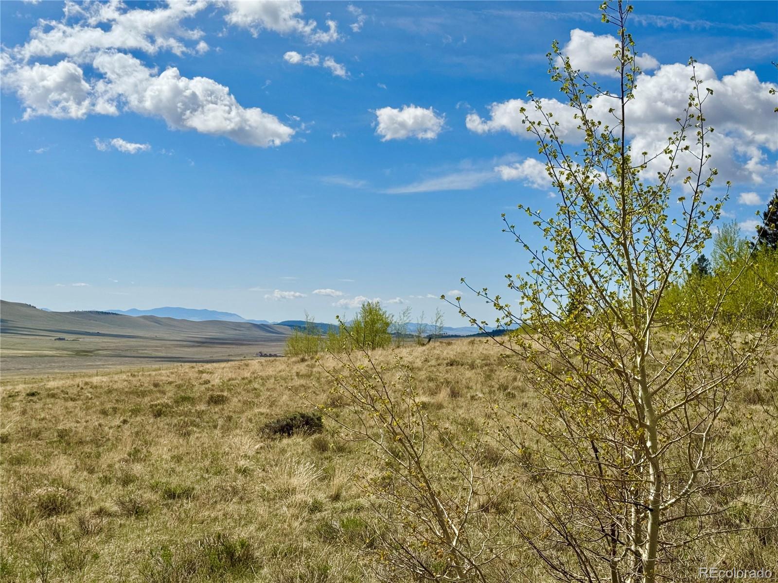 2886 Redhill Road Fairplay, CO 80440 - Photo 10 of 46 Gallery Image 10