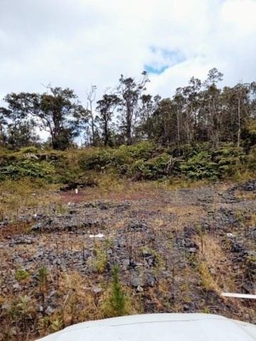 11-2875 Kilihune Road Volcano, HI 96778 - Photo 13 of 18 Gallery Image 13