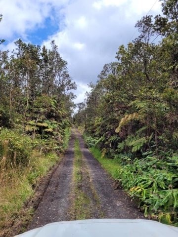 11-2875 Kilihune Road Volcano, HI 96778 - Photo 14 of 18 Gallery Image 14