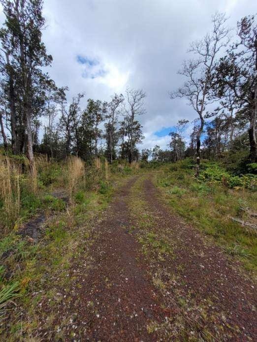 11-2875 Kilihune Road Volcano, HI 96778 - Photo 15 of 18 Gallery Image 15