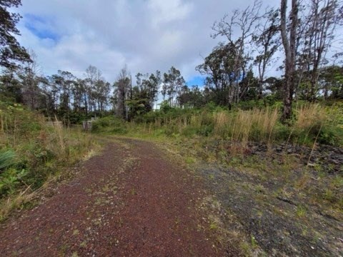 11-2875 Kilihune Road Volcano, HI 96778 - Photo 18 of 18 Gallery Image 18