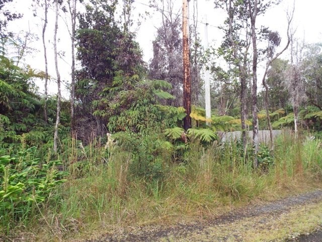 11-2875 Kilihune Road Volcano, HI 96778 - Photo 3 of 18 Gallery Image 3