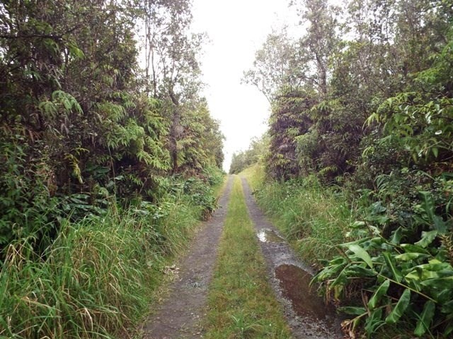 11-2875 Kilihune Road Volcano, HI 96778 - Photo 4 of 18 Gallery Image 4