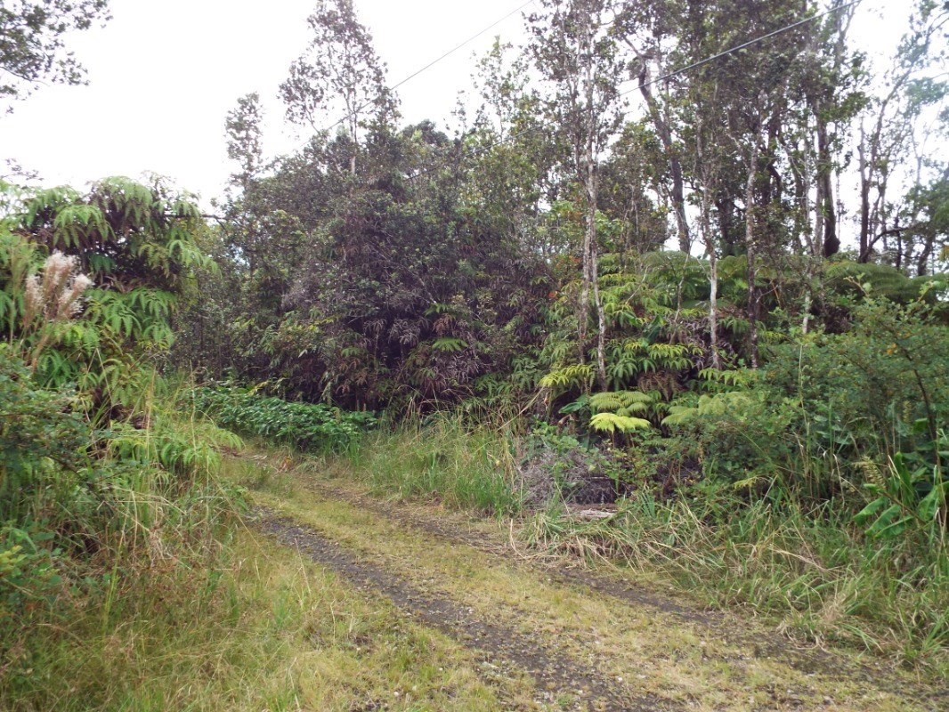 11-2875 Kilihune Road Volcano, HI 96778 - Photo 6 of 18 Gallery Image 6