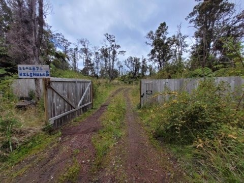 11-2875 Kilihune Road Volcano, HI 96778 - Photo 7 of 18 Gallery Image 7