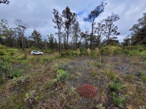 11-2875 Kilihune Road Volcano, HI 96778 - Photo 8 of 18 Gallery Image 8