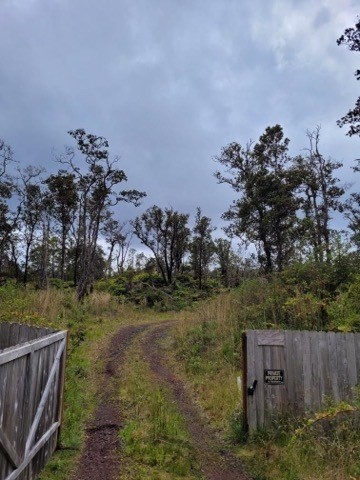 11-2875 Kilihune Road Volcano, HI 96778 - Photo 9 of 18 Gallery Image 9