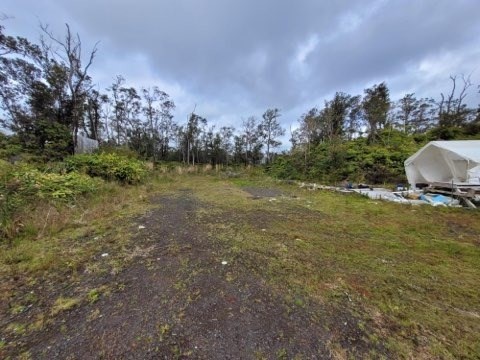 11-2875 Kilihune Road Volcano, HI 96778 - Photo 10 of 18 Gallery Image 10