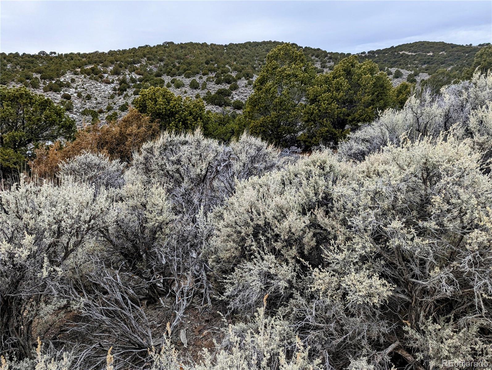 Lot 4712 Romeo Road Fort Garland, CO 81133 - Photo 3 of 10 Gallery Image 3