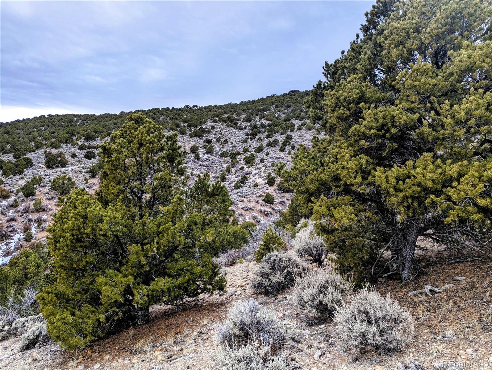 Lot 4712 Romeo Road Fort Garland, CO 81133 - Photo 5 of 10 Gallery Image 5