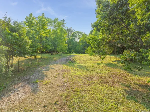 a view of a trees with a yard