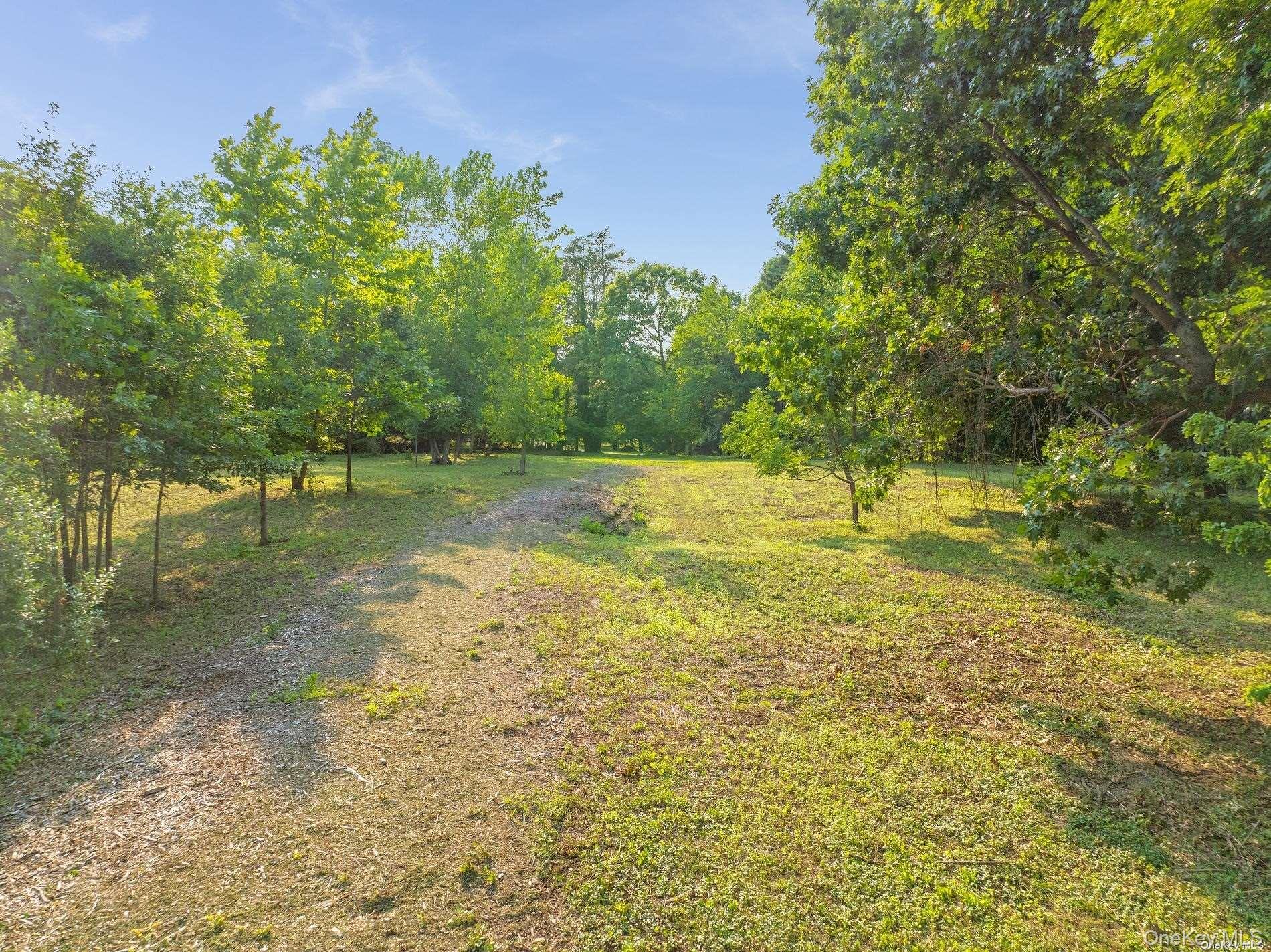 31 Factory Pond Road Locust Valley, NY 11560 - Photo 12 of 14 a view of a trees with a yard