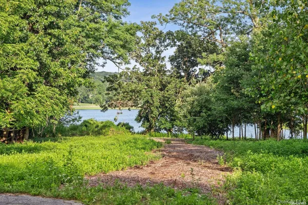 a view of a yard with plants and trees