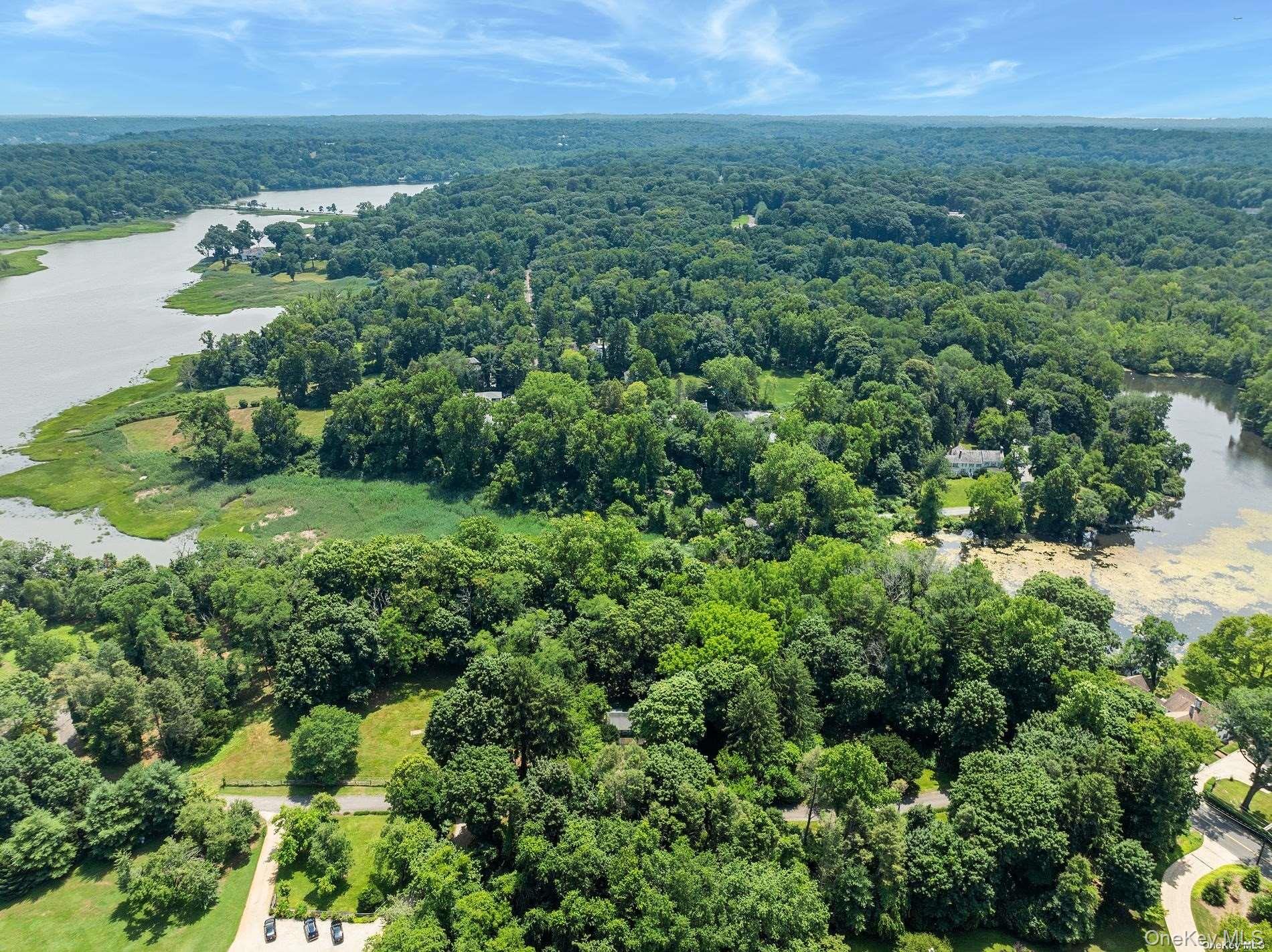 31 Factory Pond Road Locust Valley, NY 11560 - Photo 8 of 14 an aerial view of residential house with outdoor space and trees all around