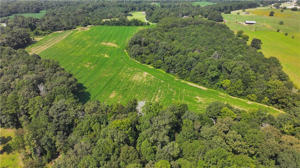 0 Sugar Valley Road Calhoun, GA 30701 - Photo 11 of 20 a view of a garden with a building