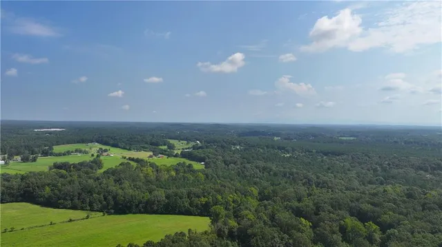 a view of yard with green space