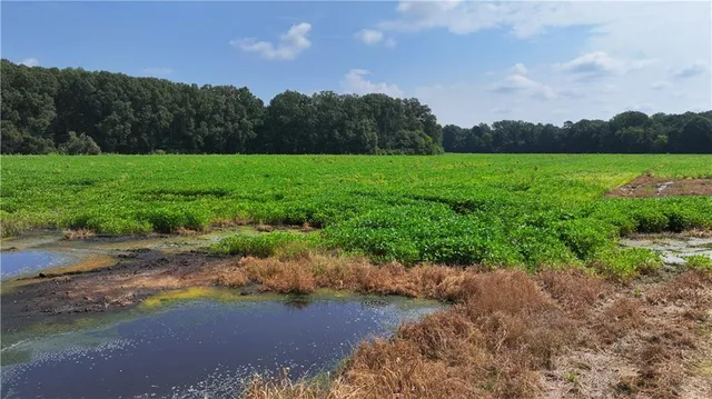 a view of a garden with an outdoor space