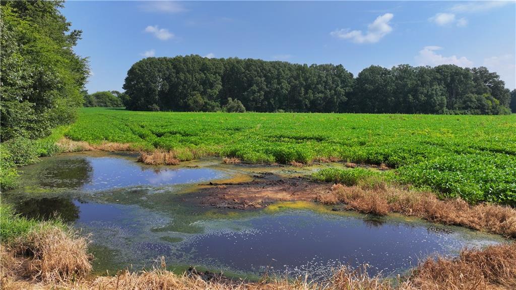 0 Sugar Valley Road Calhoun, GA 30701 - Photo 17 of 20 a view of a lake with a yard