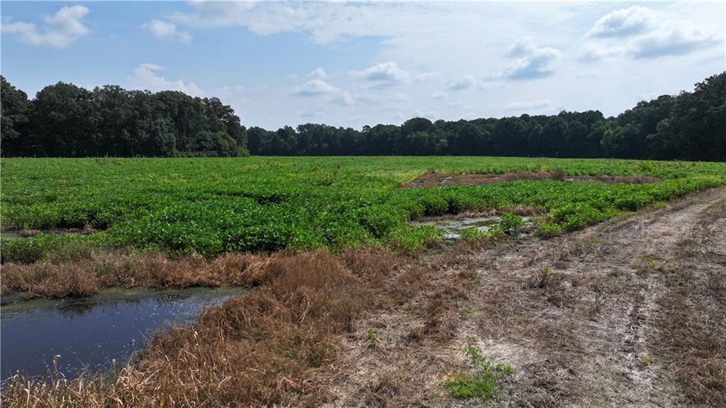 0 Sugar Valley Road Calhoun, GA 30701 - Photo 18 of 20 a view of a field with a yard