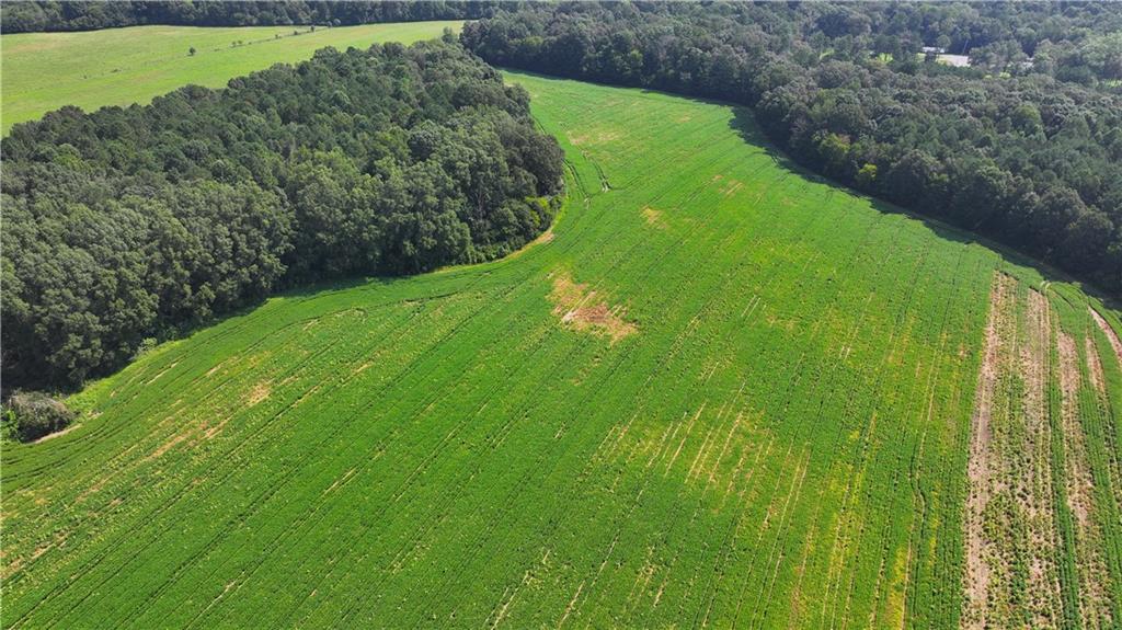 0 Sugar Valley Road Calhoun, GA 30701 - Photo 19 of 20 a view of a golf course with a garden