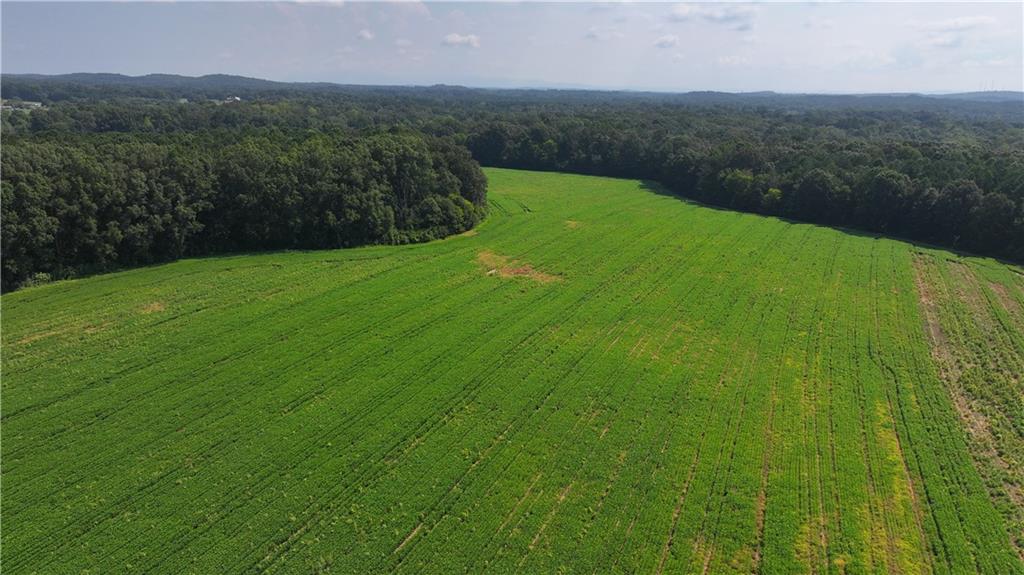 0 Sugar Valley Road Calhoun, GA 30701 - Photo 3 of 20 a view of a green field with mountains in the background