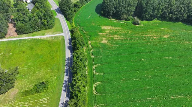 a view of a trees with a yard