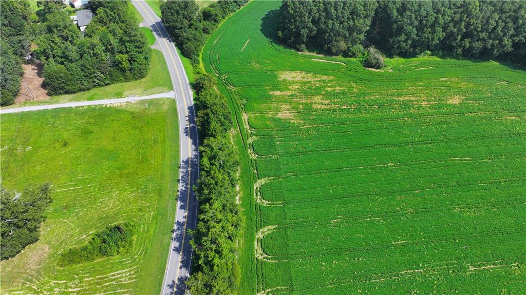 0 Sugar Valley Road Calhoun, GA 30701 - Photo 4 of 20 a view of a trees with a yard