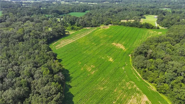 a view of a green yard