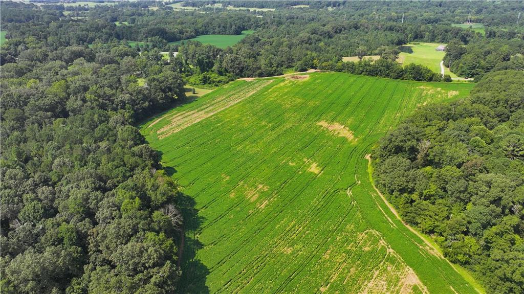 0 Sugar Valley Road Calhoun, GA 30701 - Photo 9 of 20 a view of a green yard