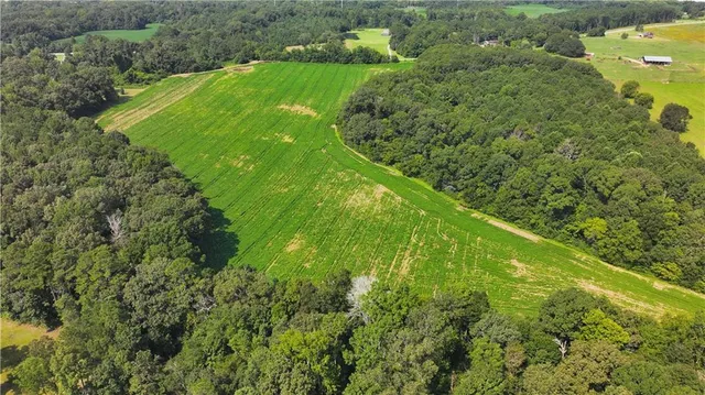 a view of a green yard with large trees