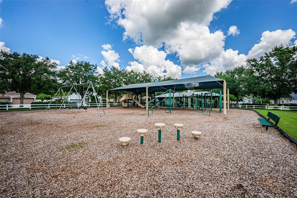 16207 Rambling Road Odessa, FL 33556 - Photo 69 of 76