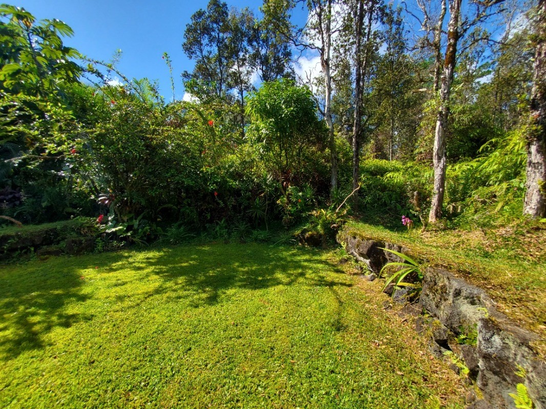 14-3552 Puna Road Pahoa, HI 96778 - Photo 12 of 15 Gallery Image 12