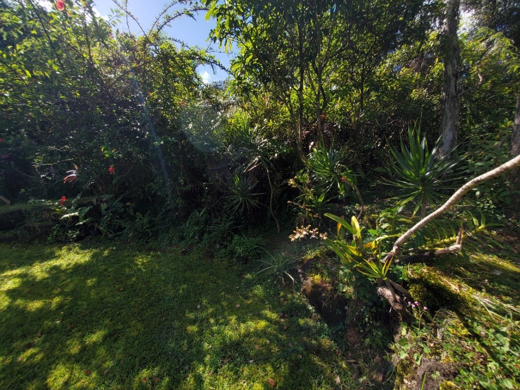 14-3552 Puna Road Pahoa, HI 96778 - Photo 13 of 15 Gallery Image 13
