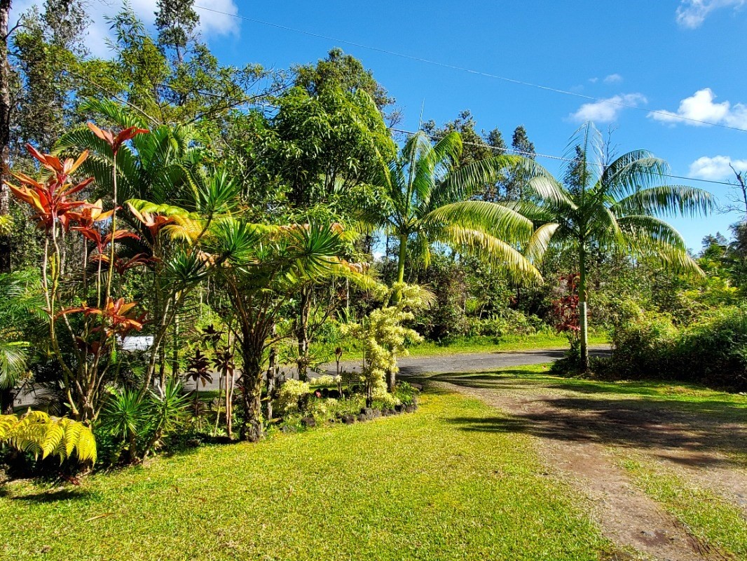 14-3552 Puna Road Pahoa, HI 96778 - Photo 4 of 15 Gallery Image 4