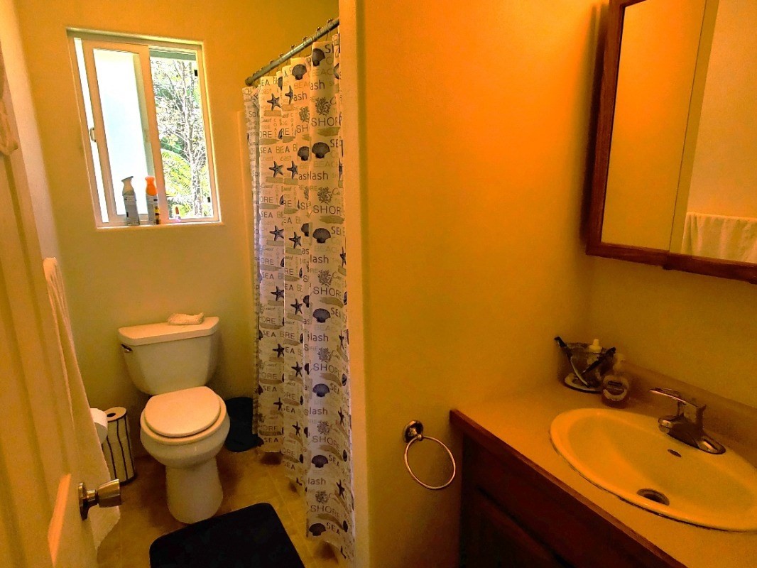 14-3552 Puna Road Pahoa, HI 96778 - Photo 9 of 15 Gallery Image 9