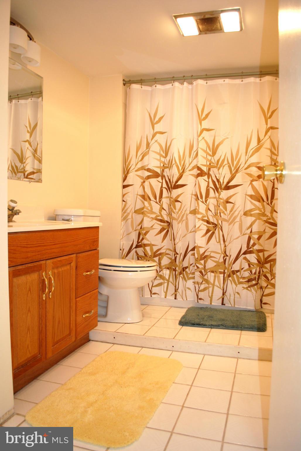 10134 Dallas Avenue Silver Spring, MD 20901 - Photo 20 of 27 a bathroom with a sink a vanity and a shower